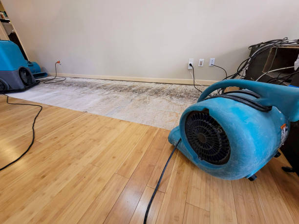 Professional Flood Damage Cleanup technician working in Laurel Bloomery, TN
